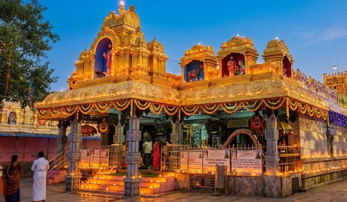 ನಾಯಕನಹಟ್ಟಿ ಜಾತ್ರೆಗೆ ಮೈಸೂರು ದಸರಾ ಮಾದರಿ ದೀಪಾಲಂಕಾರ! ಮಾ.6ಕ್ಕೆ ಐತಿಹಾಸಿಕ ರಥೋತ್ಸವ; ಸಕಲ ಸಿದ್ಧತೆಗೆ ಸೂಚನೆ