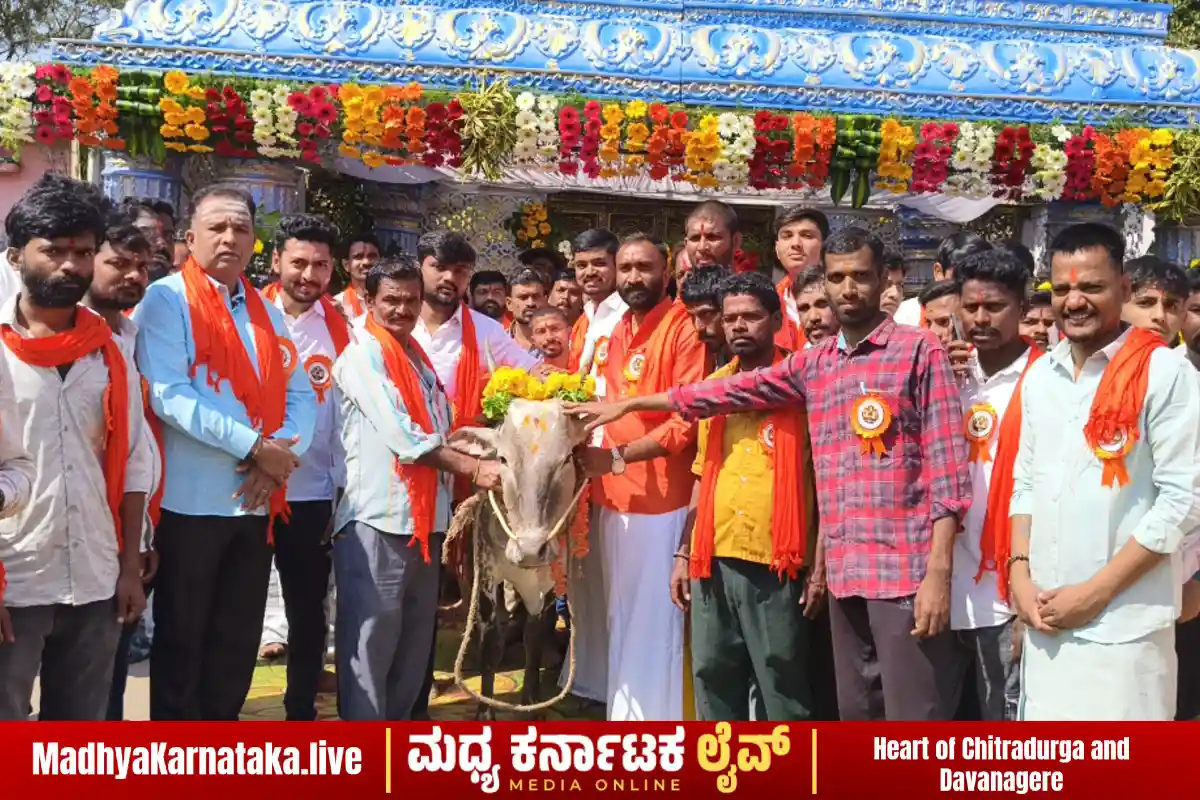 ಹೊಸದುರ್ಗದಲ್ಲಿ ವಿರಾಟ್ ರಾಮೋತ್ಸವದ ಅಂಗವಾಗಿ ನಡೆದ ಗೋ ಪೂಜೆ ಮತ್ತು ಭಕ್ತಾದಿಗಳ ಸಂಭ್ರಮ.