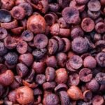 ರಾಜ್ಯದ ಬೆಳೆಗಾರರ ಗಮನಕ್ಕೆ: ದಿಢೀರ್ ಬದಲಾದ ಕೆಂಪು ಅಡಿಕೆ ಧಾರಣೆ! ಫೆಬ್ರವರಿ 26 ಮತ್ತು 27ರ ನಿಮ್ಮೂರಿನ ರೇಟ್ ಎಷ್ಟಿದೆ ನೋಡಿ