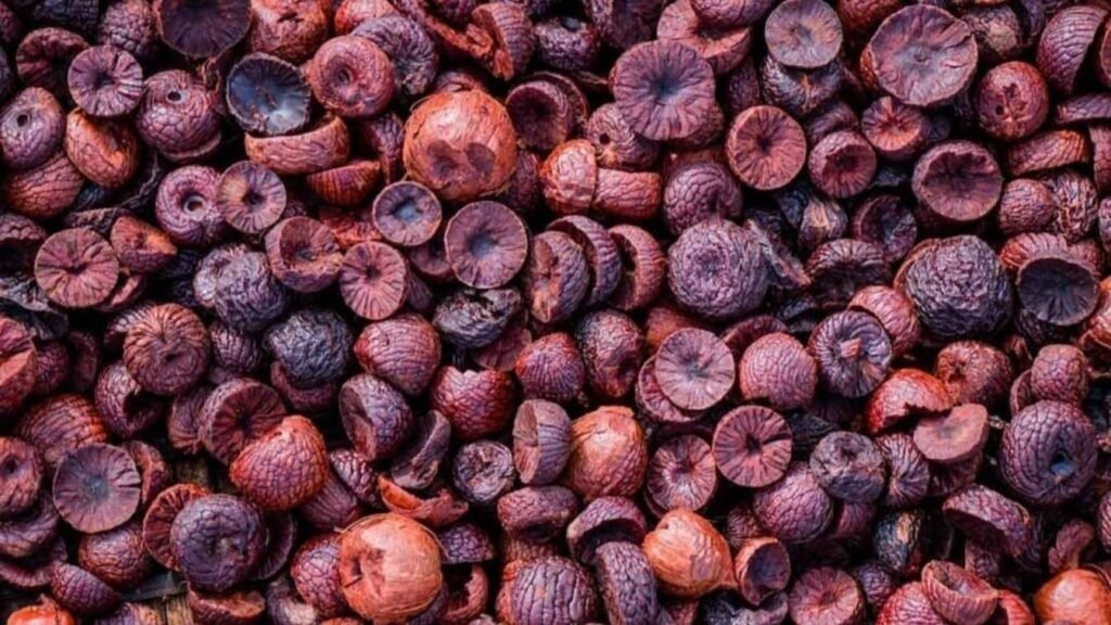 ಅಡಿಕೆ ಧಾರಣೆ: ಸಾಗರದಲ್ಲಿ 57,000 ಗಡಿ ದಾಟಿದ ರಾಶಿ! ಚನ್ನಗಿರಿ, ಚಿತ್ರದುರ್ಗದಲ್ಲಿ ಇಂದಿನ ಧಾರಣೆ ಹೇಗಿದೆ? ಇಲ್ಲಿದೆ ಕಂಪ್ಲೀಟ್ ರಿಪೋರ್ಟ್