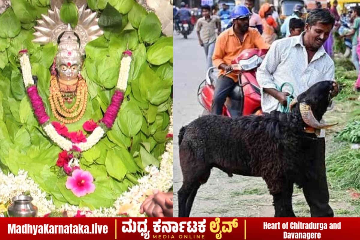 ದಾವಣಗೆರೆ: ದುಗ್ಗಮ್ಮನ ಜಾತ್ರೆಗೆ ದಿನಗಣನೆ ಆರಂಭ; ಬಾಡೂಟ ಪ್ರಿಯರಿಗೆ ಶಾಕ್ ನೀಡಿದ ಕುರಿ ಬೆಲೆ!