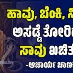 ಚಾಣಕ್ಯ ನೀತಿ: ಈ 3 ವಿಷಯಗಳಲ್ಲಿ ಅಸಡ್ಡೆ ತೋರಿದರೆ ಸಾವು ಖಚಿತ! ಆಚಾರ್ಯ ಚಾಣಕ್ಯರ ಎಚ್ಚರಿಕೆ ಇಲ್ಲಿದೆ..