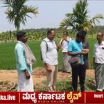 ಚನ್ನಗಿರಿ: ಕತ್ತಲಗೆರೆ-ಕಶೆಟ್ಟಿಹಳ್ಳಿ ರಸ್ತೆ ಪಕ್ಕದ ತೋಟದಲ್ಲಿ ಚಿರತೆ ದರ್ಶನ; ಗ್ರಾಮಸ್ಥರಲ್ಲಿ ಆತಂಕ, ಅರಣ್ಯ ಇಲಾಖೆ ಭೇಟಿ