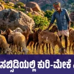 ಶೇ.90 ಸಬ್ಸಿಡಿಯಲ್ಲಿ ಕುರಿ-ಮೇಕೆ ವಿತರಣೆ: 1 ಲಕ್ಷದ ಯೋಜನೆಗೆ ಅರ್ಜಿ ಆಹ್ವಾನ, ಮಾ.7 ಕೊನೆಯ ದಿನ