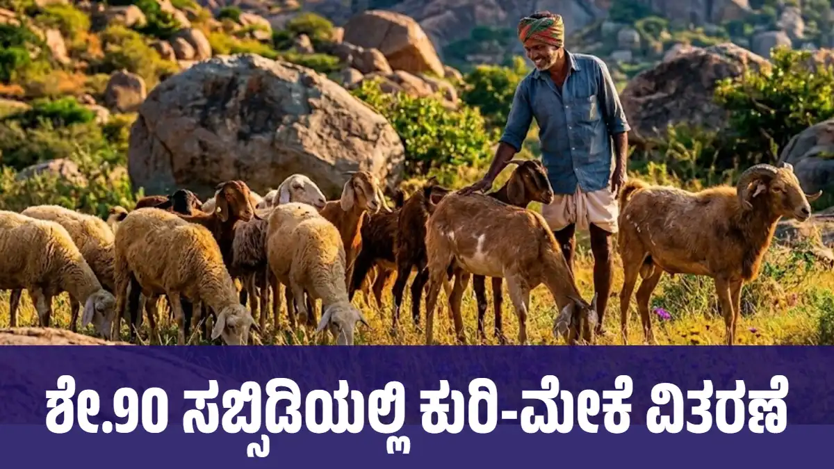 ಶೇ.90 ಸಬ್ಸಿಡಿಯಲ್ಲಿ ಕುರಿ-ಮೇಕೆ ವಿತರಣೆ: 1 ಲಕ್ಷದ ಯೋಜನೆಗೆ ಅರ್ಜಿ ಆಹ್ವಾನ, ಮಾ.7 ಕೊನೆಯ ದಿನ