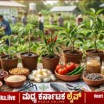 ಕೃಷಿ ವಿವಿ ಪ್ರವೇಶಾತಿ: ಚಿತ್ರದುರ್ಗದಲ್ಲಿ ಏ.25 ಮತ್ತು 26 ರಂದು ‘ಕೃಷಿ ಪ್ರಾಯೋಗಿಕ ತರಬೇತಿ’