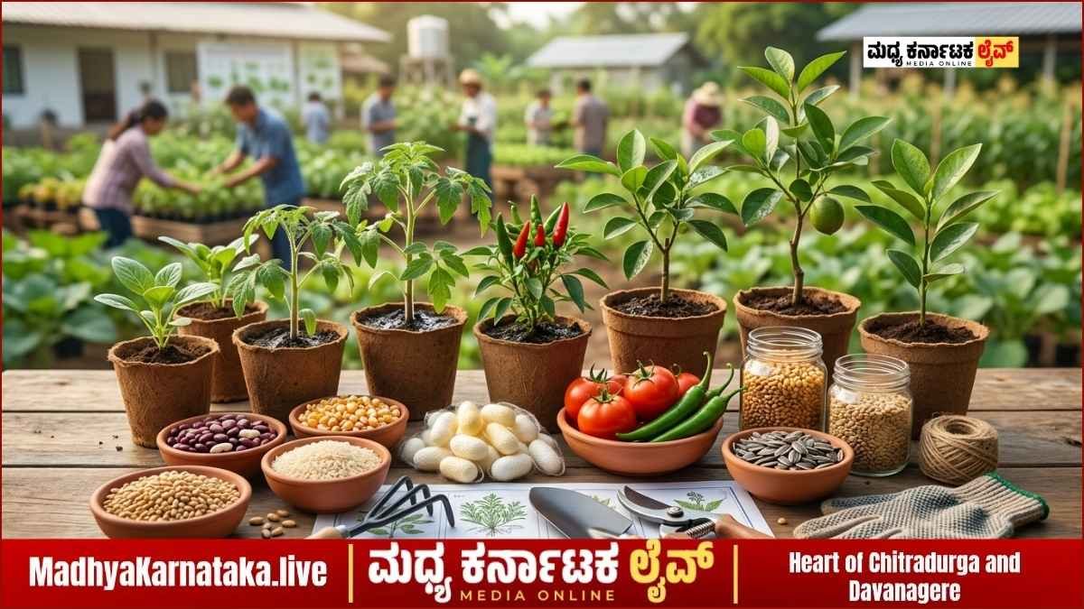 ಕೃಷಿ ವಿವಿ ಪ್ರವೇಶಾತಿ: ಚಿತ್ರದುರ್ಗದಲ್ಲಿ ಏ.25 ಮತ್ತು 26 ರಂದು ‘ಕೃಷಿ ಪ್ರಾಯೋಗಿಕ ತರಬೇತಿ’