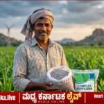 ಚಿತ್ರದುರ್ಗ: ಡಿ.ಎ.ಪಿ ಪರ್ಯಾಯವಾಗಿ ಸಂಯುಕ್ತ ಗೊಬ್ಬರ ಬಳಸಿ – ಕೃಷಿ ಇಲಾಖೆ ಸಲಹೆ