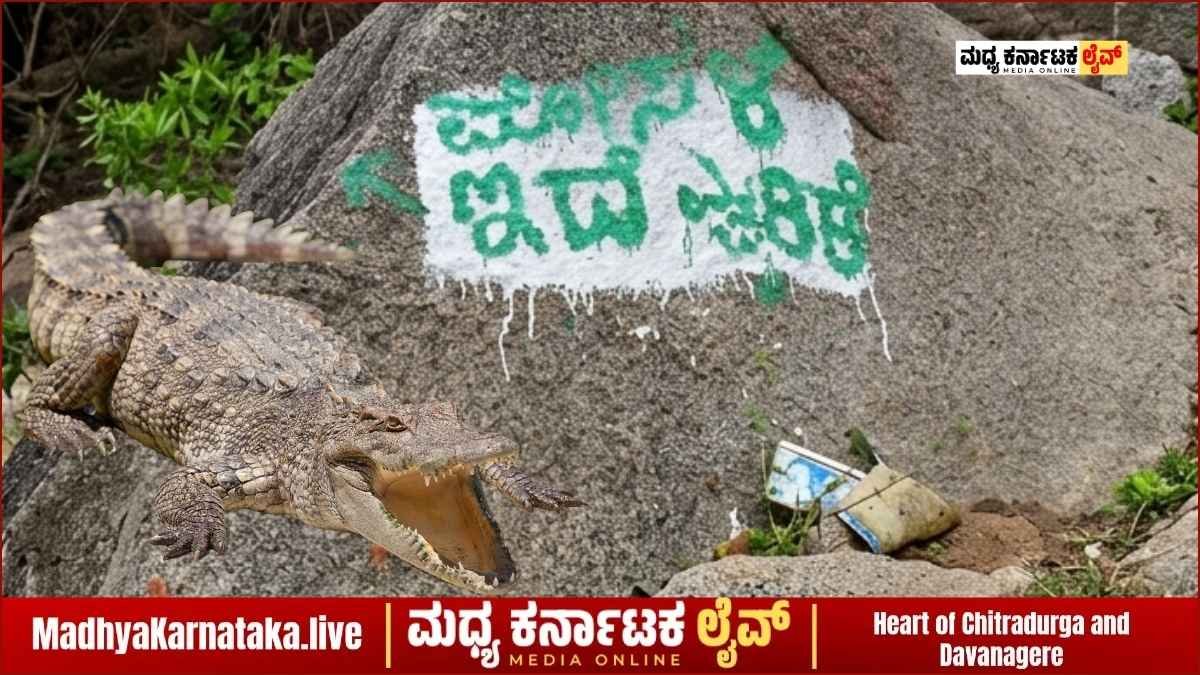 ಚಿತ್ರದುರ್ಗದ ಕೋಟೆ ಹೊಂಡದಲ್ಲಿ ಮೊಸಳೆ ಭೀತಿ: ಎಚ್ಚರಿಕೆ ಕಡೆಗಣಿಸಿ ಯುವಕರ ಈಜಾಟ, ಸ್ಥಳೀಯರ ಆಕ್ರೋಶ