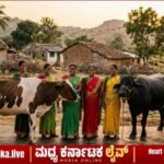 ಚಿತ್ರದುರ್ಗ ಜಿಲ್ಲೆಯ ಸ್ವಸಹಾಯ ಗುಂಪಿನ ಮಹಿಳೆಯರಿಗೆ ಸಹಾಯಧನದಲ್ಲಿ ಹಸು, ಎಮ್ಮೆ ವಿತರಣೆ: ಅರ್ಜಿ ಆಹ್ವಾನ