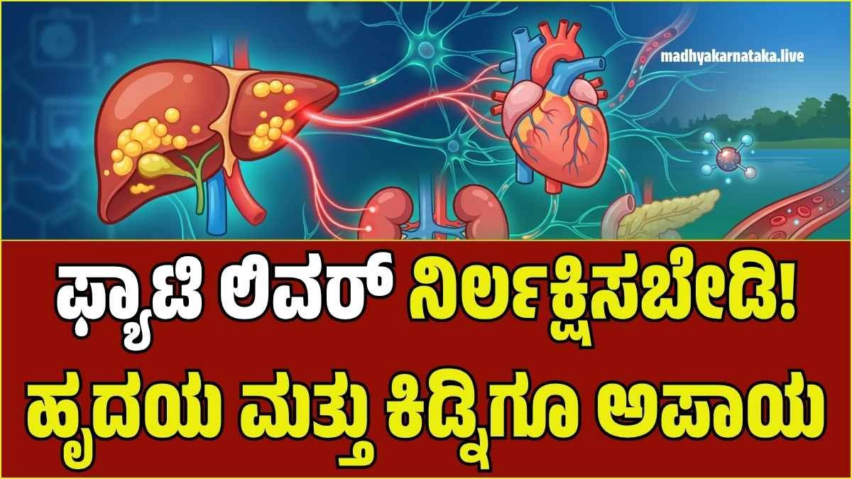 ಎಚ್ಚರಿಕೆ! ಫ್ಯಾಟಿ ಲಿವರ್ ಕೇವಲ ಯಕೃತ್ತಿನ ಸಮಸ್ಯೆಯಲ್ಲ; ನಿಮ್ಮ ಹೃದಯ ಮತ್ತು ಕಿಡ್ನಿಗೂ ಕಾದಿದೆ ಅಪಾಯ!