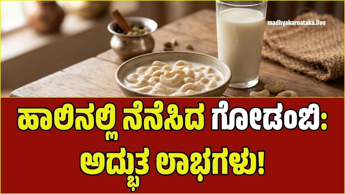 ಹಾಲಿನಲ್ಲಿ ನೆನೆಸಿದ ಗೋಡಂಬಿ ಸೇವಿಸಿದರೆ ಆಗುವ ಚಮತ್ಕಾರಗಳಿವು: ಈ 5 ಲಾಭ ತಿಳಿದರೆ ಇಂದೇ ಶುರು ಮಾಡ್ತೀರಾ!