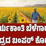 ಕರ್ನಾಟಕದ ಸೂರ್ಯಕಾಂತಿ ಬೆಳೆಗಾರರ ಬೆನ್ನಿಗೆ ನಿಂತ ಕೇಂದ್ರ; ಬೆಂಬಲ ಬೆಲೆಯಲ್ಲಿ 9023 MT ಖರೀದಿಗೆ ಅಸ್ತು