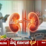 ಕಿಡ್ನಿ ಆರೋಗ್ಯದ ಬಗ್ಗೆ ಎಚ್ಚರ: ಮಧುಮೇಹ ಮತ್ತು ಬಿಪಿ ಇರುವವರು ಗಮನಿಸಬೇಕಾದ ಅಂಶಗಳು!