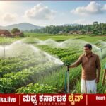 ರೈತರಿಗೊಂದು ಸಿಹಿ ಸುದ್ದಿ: ಸ್ಪಿಂಕ್ಲರ್ ಮತ್ತು ಹನಿ ನೀರಾವರಿಗೆ ಭಾರಿ ಸಬ್ಸಿಡಿ; ಅರ್ಜಿ ಸಲ್ಲಿಸುವುದು ಹೇಗೆ? ಇಲ್ಲಿದೆ ಕಂಪ್ಲೀಟ್ ಡಿಟೇಲ್ಸ್!