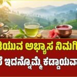 ಚಹಾ ಪ್ರಿಯರೇ ಗಮನಿಸಿ: ದಿನಕ್ಕೊಂದು ಕಪ್ ಟೀ ಕುಡಿಯುವುದರಿಂದ ಸಿಗುವ ಆರೋಗ್ಯ ಲಾಭಗಳು ಮತ್ತು ಅತಿಯಾದರೆ ಆಗುವ ಅಡ್ಡಪರಿಣಾಮಗಳಿವು!