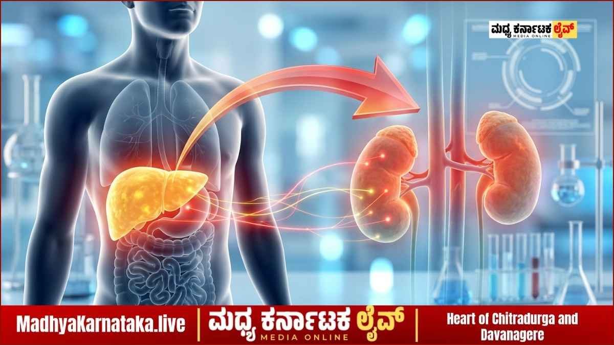 ಫ್ಯಾಟಿ ಲಿವರ್ ನಿರ್ಲಕ್ಷಿಸಿದರೆ ಕಿಡ್ನಿಗೂ ಕುತ್ತು! ತಜ್ಞರ ಎಚ್ಚರಿಕೆ ವರದಿ ಇಲ್ಲಿದೆ