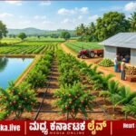 ದಾವಣಗೆರೆ ಜಿಲ್ಲೆಯ ರೈತರಿಗೆ ಸುವರ್ಣಾವಕಾಶ: ತೋಟಗಾರಿಕೆ ಇಲಾಖೆಯ ವಿವಿಧ ಯೋಜನೆಗಳ ಸಹಾಯಧನಕ್ಕೆ ಅರ್ಜಿ ಆಹ್ವಾನ!