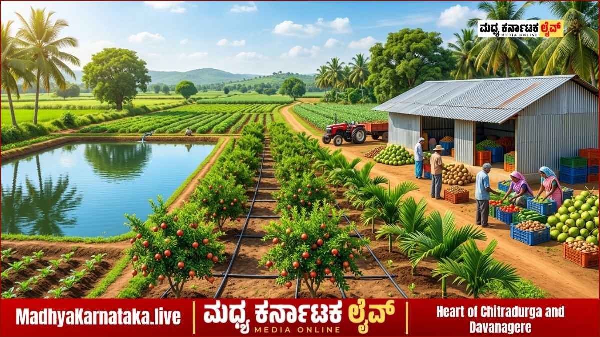 ದಾವಣಗೆರೆ ಜಿಲ್ಲೆಯ ರೈತರಿಗೆ ಸುವರ್ಣಾವಕಾಶ: ತೋಟಗಾರಿಕೆ ಇಲಾಖೆಯ ವಿವಿಧ ಯೋಜನೆಗಳ ಸಹಾಯಧನಕ್ಕೆ ಅರ್ಜಿ ಆಹ್ವಾನ!