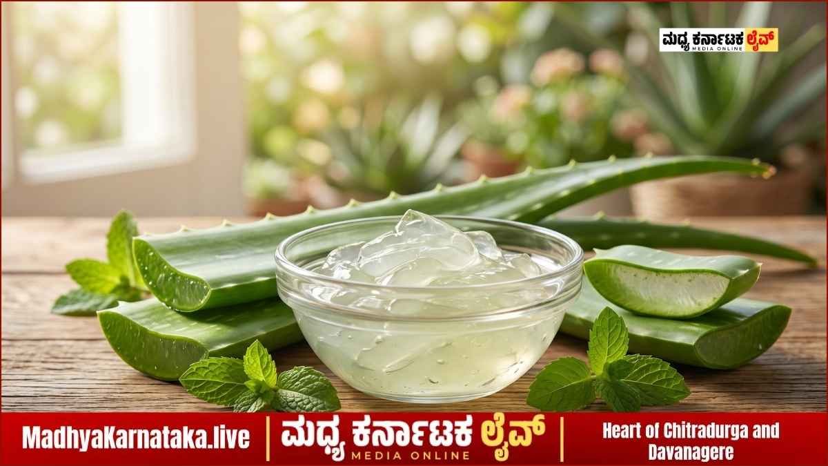 ಮುಖದ ಸೌಂದರ್ಯಕ್ಕೆ ಅಲೋವೆರಾ ಎಂಬ ಸಂಜೀವಿನಿ: ದಿನಾ ಹಚ್ಚಿದ್ರೆ ಸಿಗುತ್ತೆ ಅದ್ಭುತ ರಿಸಲ್ಟ್!