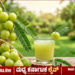 ಮಧುಮೇಹ ನಿಯಂತ್ರಣಕ್ಕೆ ನೆಲ್ಲಿಕಾಯಿ ನೈಸರ್ಗಿಕ ವರದಾನ: ಇಲ್ಲಿದೆ ಬಳಸುವ ಸರಿಯಾದ ವಿಧಾನ