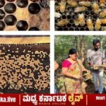 ಚಿತ್ರದುರ್ಗದ ರೈತರಿಗೆ ಸುವರ್ಣಾವಕಾಶ: ಜೂನ್ 22 ರಿಂದ ಜೇನು ಕೃಷಿ, ಸಾವಯವ ಕೃಷಿ ಹಾಗೂ ಔಷಧೀಯ ಸಸ್ಯಗಳ ಉಚಿತ ತರಬೇತಿ!