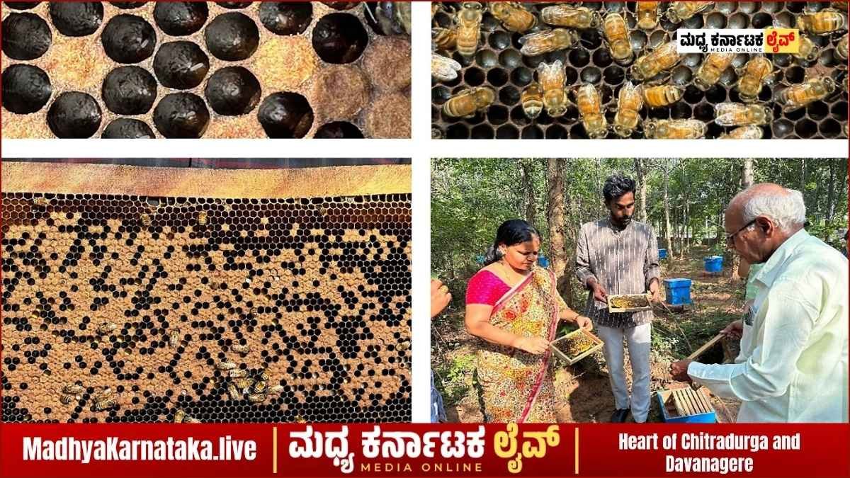 ಚಿತ್ರದುರ್ಗದ ರೈತರಿಗೆ ಸುವರ್ಣಾವಕಾಶ: ಜೂನ್ 22 ರಿಂದ ಜೇನು ಕೃಷಿ, ಸಾವಯವ ಕೃಷಿ ಹಾಗೂ ಔಷಧೀಯ ಸಸ್ಯಗಳ ಉಚಿತ ತರಬೇತಿ!